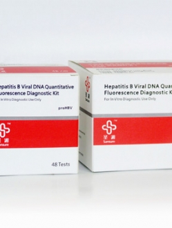 HBV DNA PCR Kit — One Step Technology