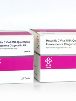 HCV RNA PCR Kit—Magnetic Bead Technology