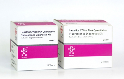 HCV RNA PCR Kit—Magnetic Bead Technology