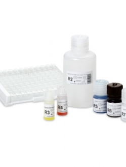 Syphilis EIA II Total Antibody